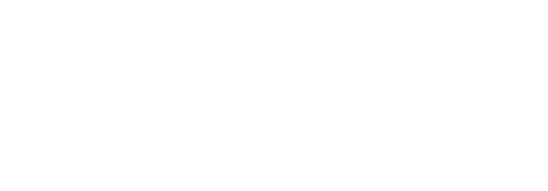 MT5